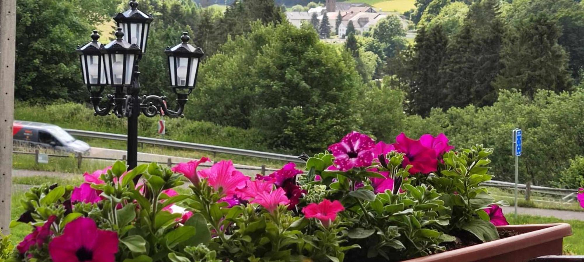 Chalet Rose Villa Burg Reuland Exteriör bild