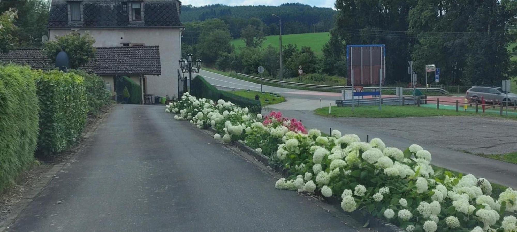 Chalet Rose Villa Burg Reuland Exteriör bild